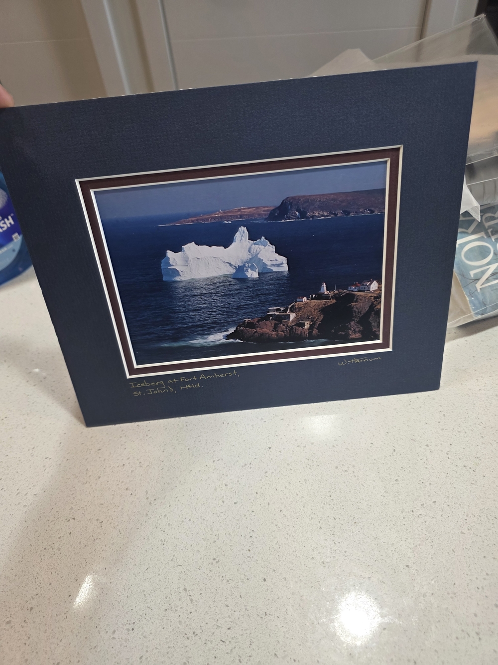 Framed Coastal Iceberg Photograph in Navy Mat
